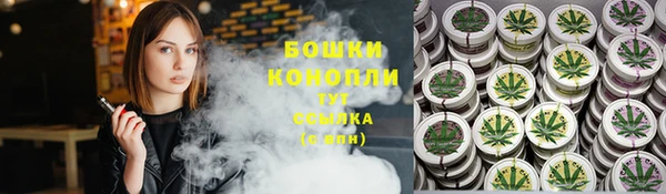 ПСИЛОЦИБИНОВЫЕ ГРИБЫ Арсеньев