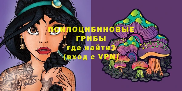 ПСИЛОЦИБИНОВЫЕ ГРИБЫ Арсеньев