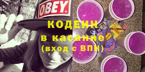 ПСИЛОЦИБИНОВЫЕ ГРИБЫ Арсеньев